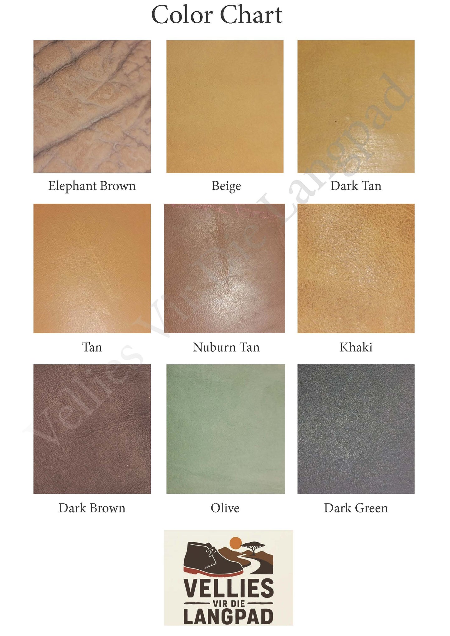 Antique Protea Vellie