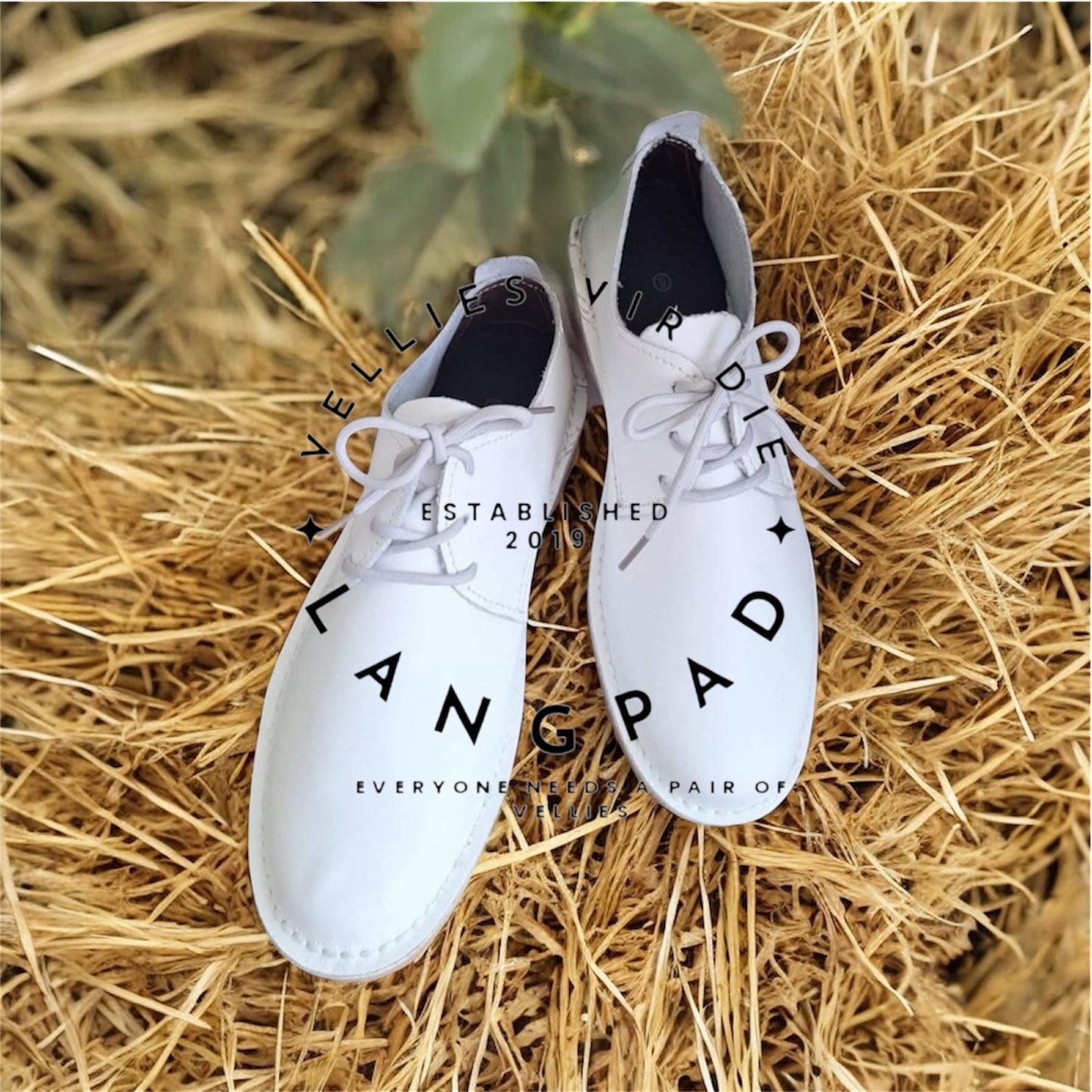 The Formal Vellie - Ladies Cut